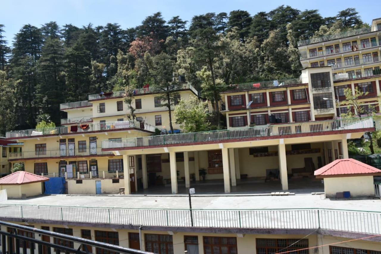 Misty Woods Hotel Dharamshala Exterior photo