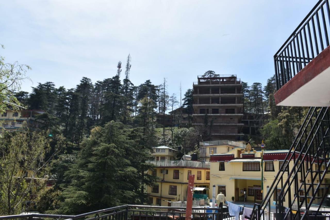 Misty Woods Hotel Dharamshala Exterior photo