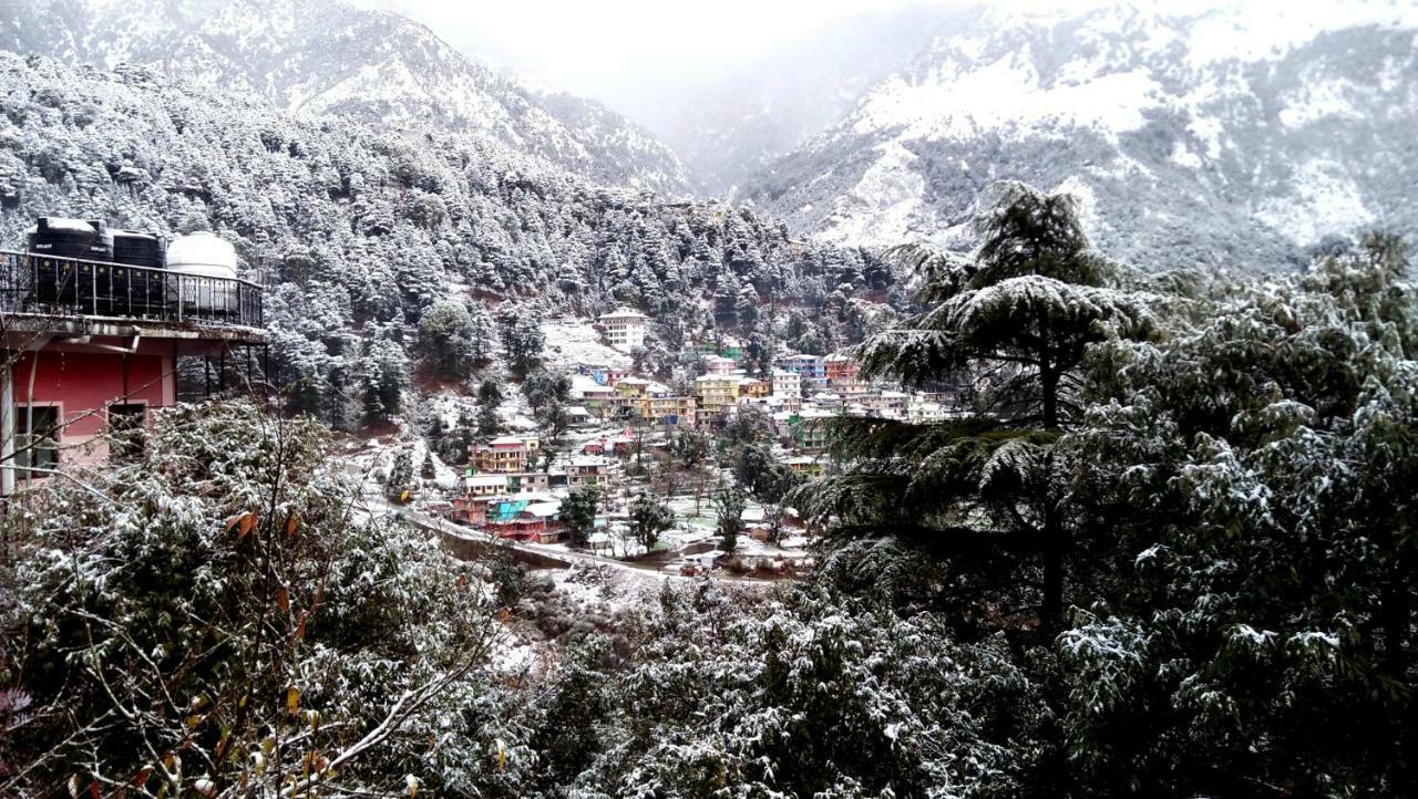 Misty Woods Hotel Dharamshala Exterior photo